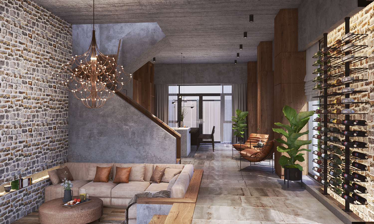 Para Grus_1st_View02